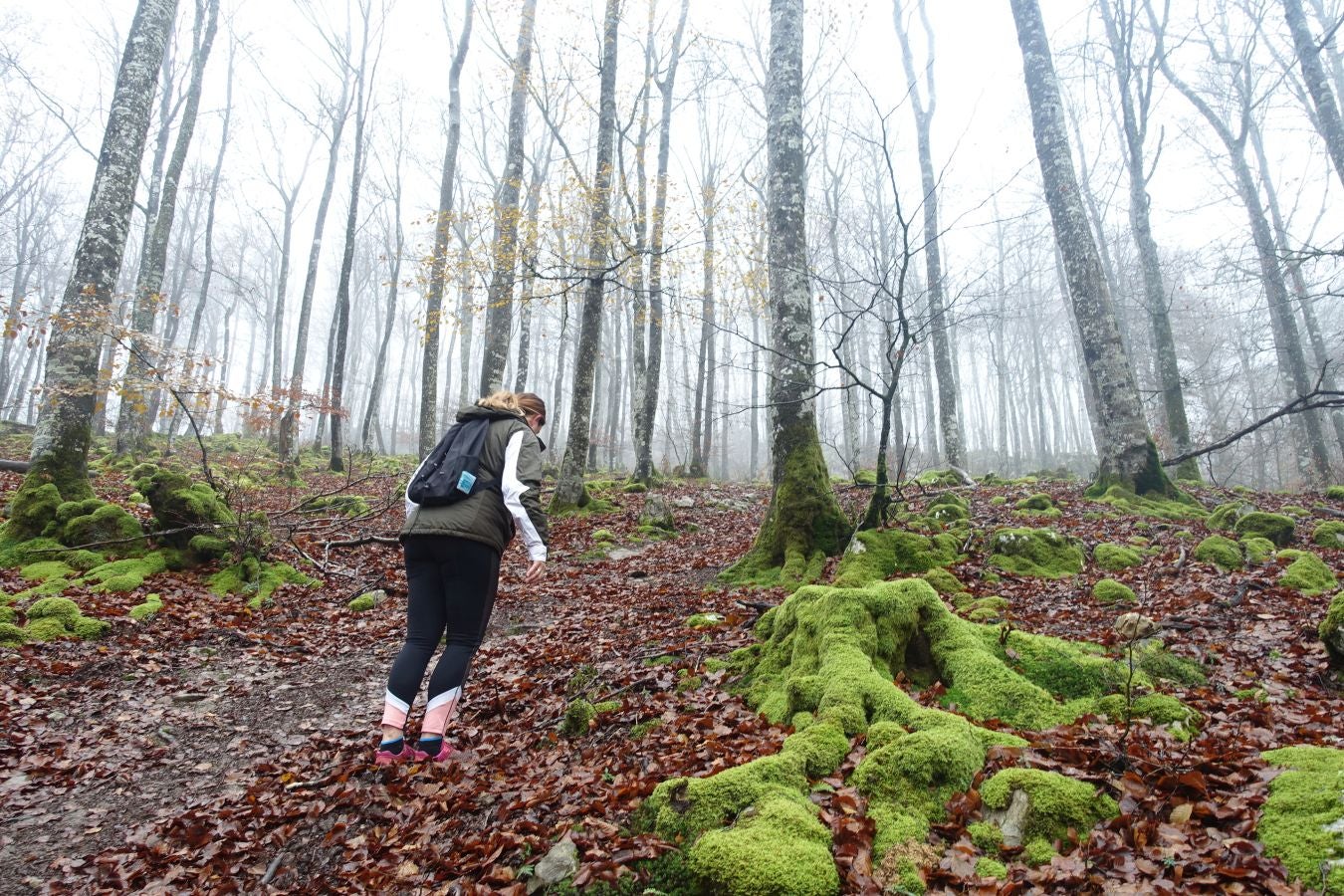 Fotos: Larrazpil, señor de la niebla de Aralar