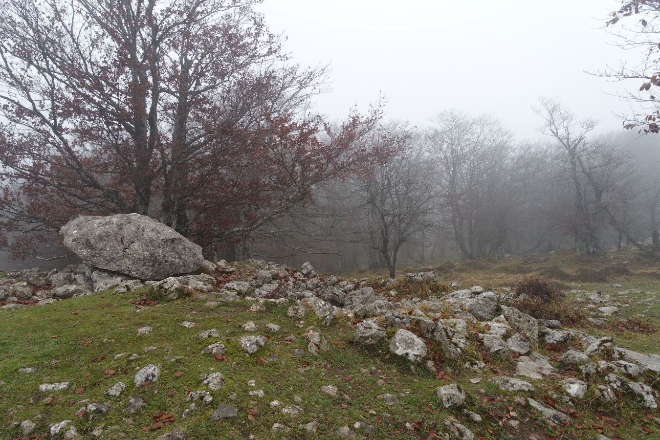 Fotos: Larrazpil, señor de la niebla de Aralar