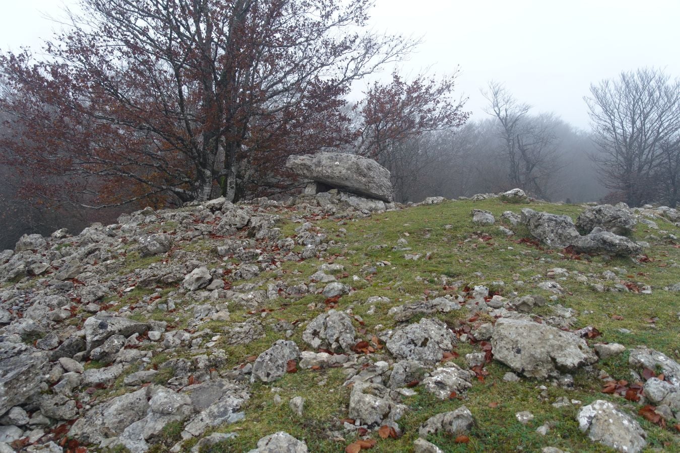 Fotos: Larrazpil, señor de la niebla de Aralar
