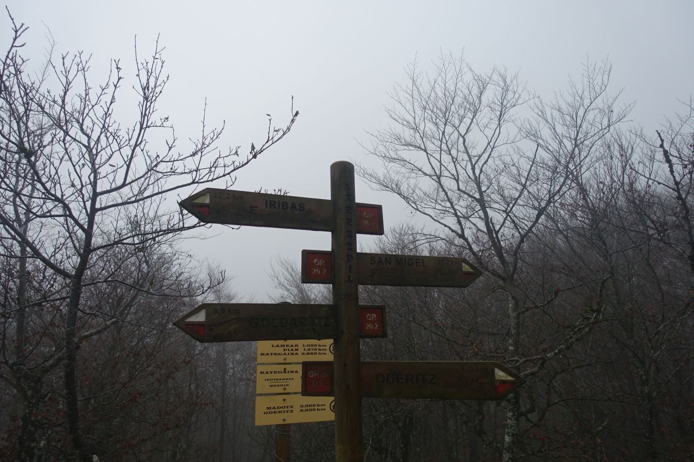 Fotos: Larrazpil, señor de la niebla de Aralar