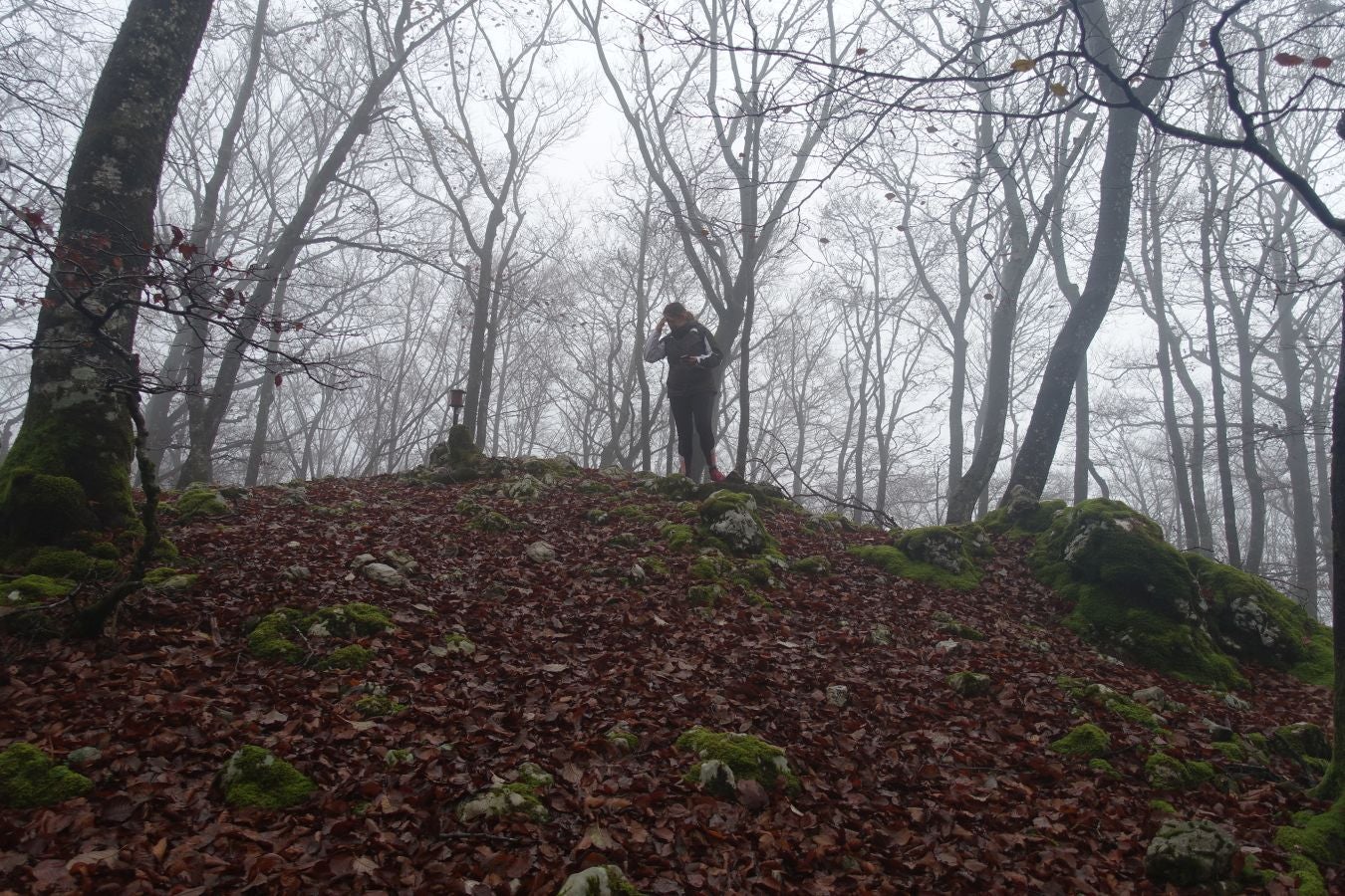 Fotos: Larrazpil, señor de la niebla de Aralar