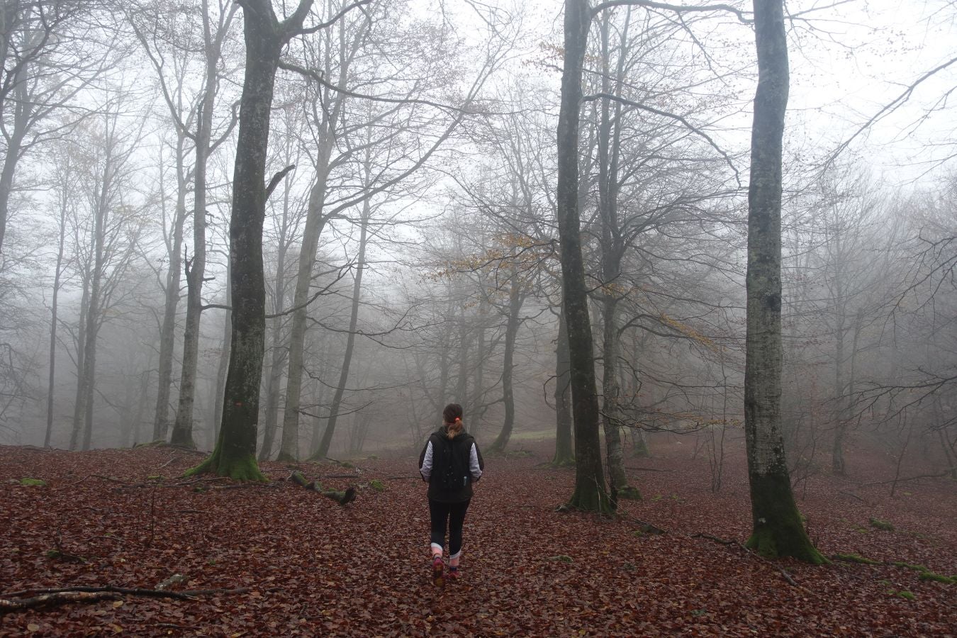 Fotos: Larrazpil, señor de la niebla de Aralar