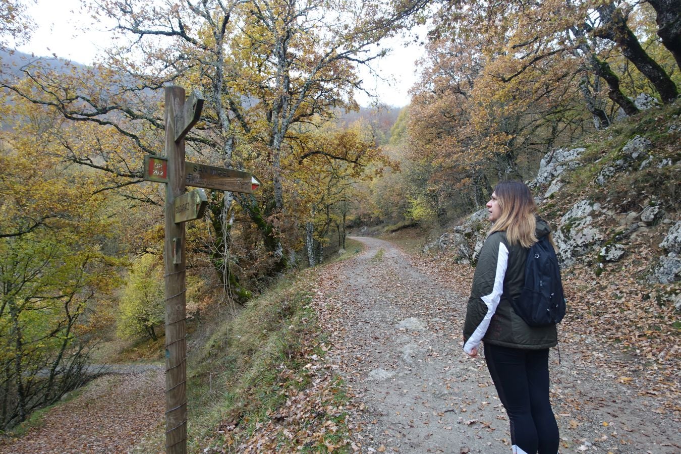 Fotos: Larrazpil, señor de la niebla de Aralar