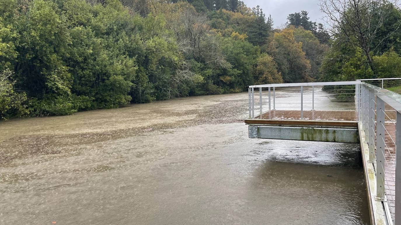 Él río Urumea, a su paso por el barrio donostiarra de Txomin, baja cargado. 
