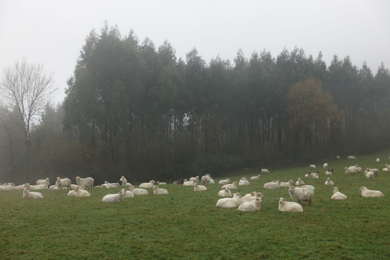 Fotos: Herniozabal, tras los pasos de Santa Cruz