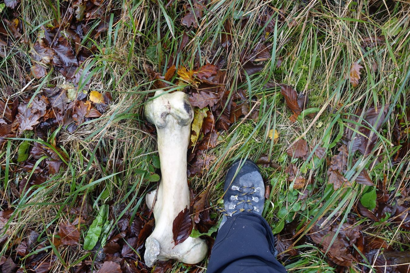 Fotos: Herniozabal, tras los pasos de Santa Cruz