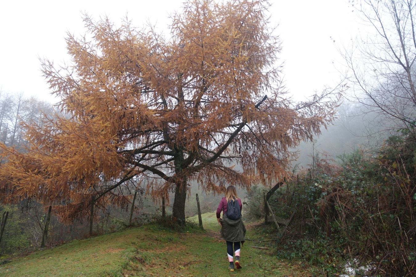 Fotos: Herniozabal, tras los pasos de Santa Cruz