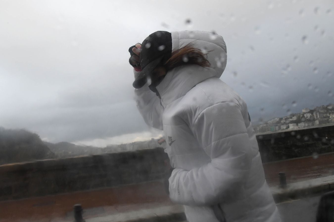 Contenedores volcados, árboles caídos... el temporal se está dejando sentir con fuerza en el territorio en las últimas horas