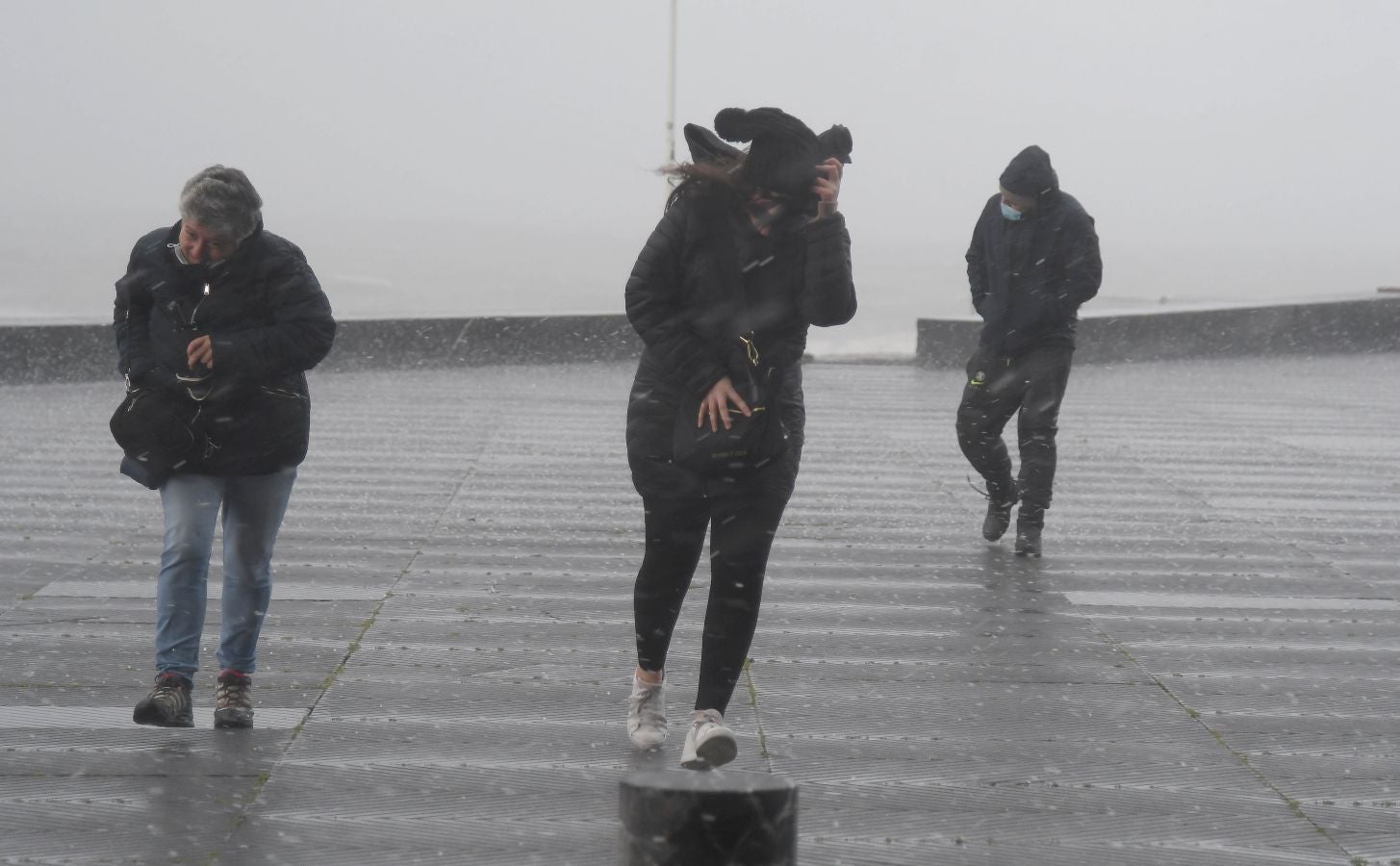 Contenedores volcados, árboles caídos... el temporal se está dejando sentir con fuerza en el territorio en las últimas horas