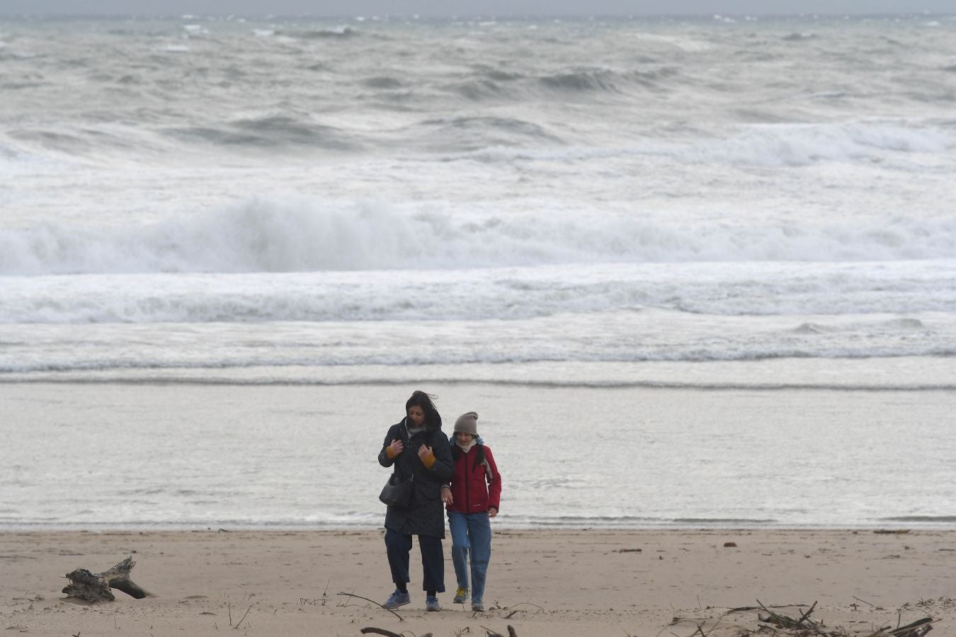 Contenedores volcados, árboles caídos... el temporal se está dejando sentir con fuerza en el territorio en las últimas horas