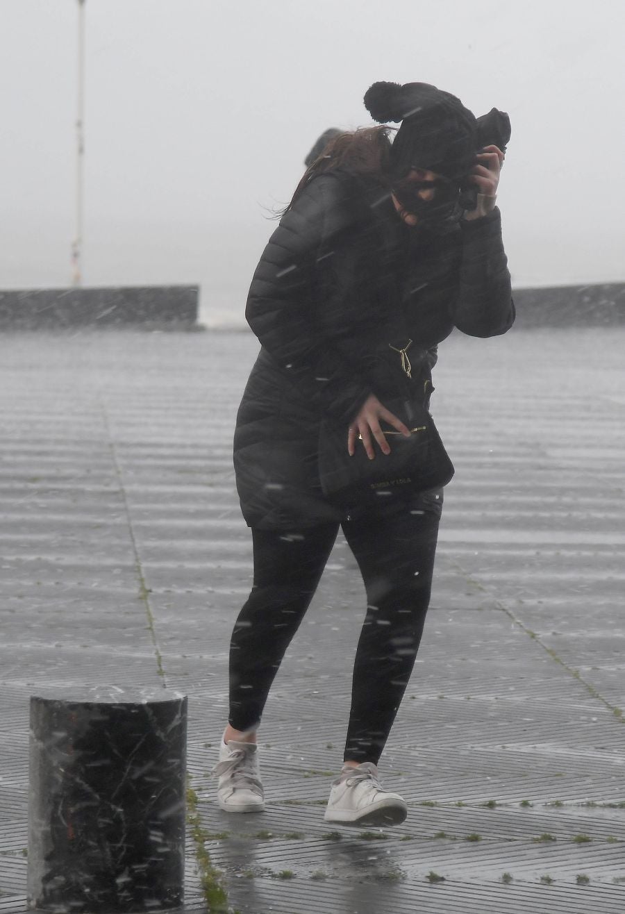 Contenedores volcados, árboles caídos... el temporal se está dejando sentir con fuerza en el territorio en las últimas horas