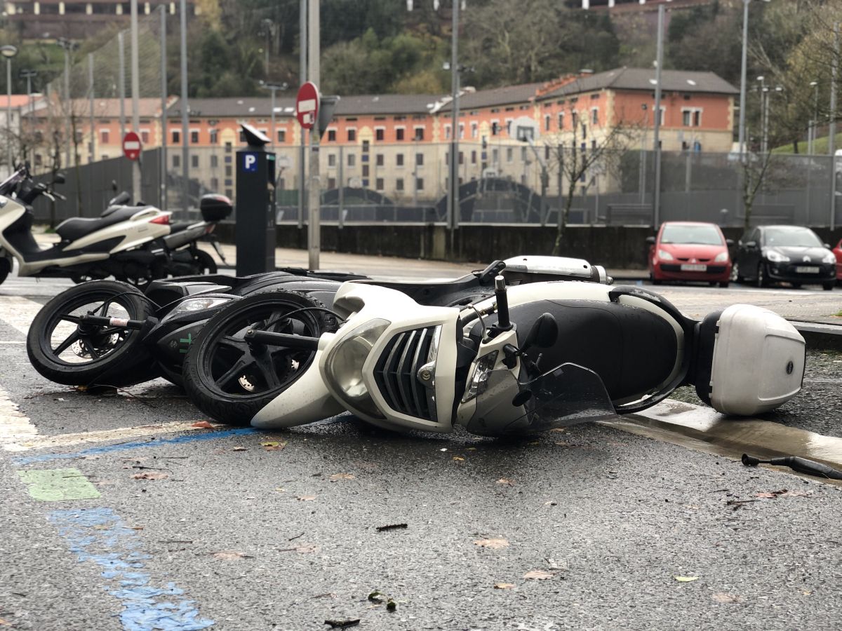 Contenedores volcados, árboles caídos... el temporal se está dejando sentir con fuerza en el territorio en las últimas horas