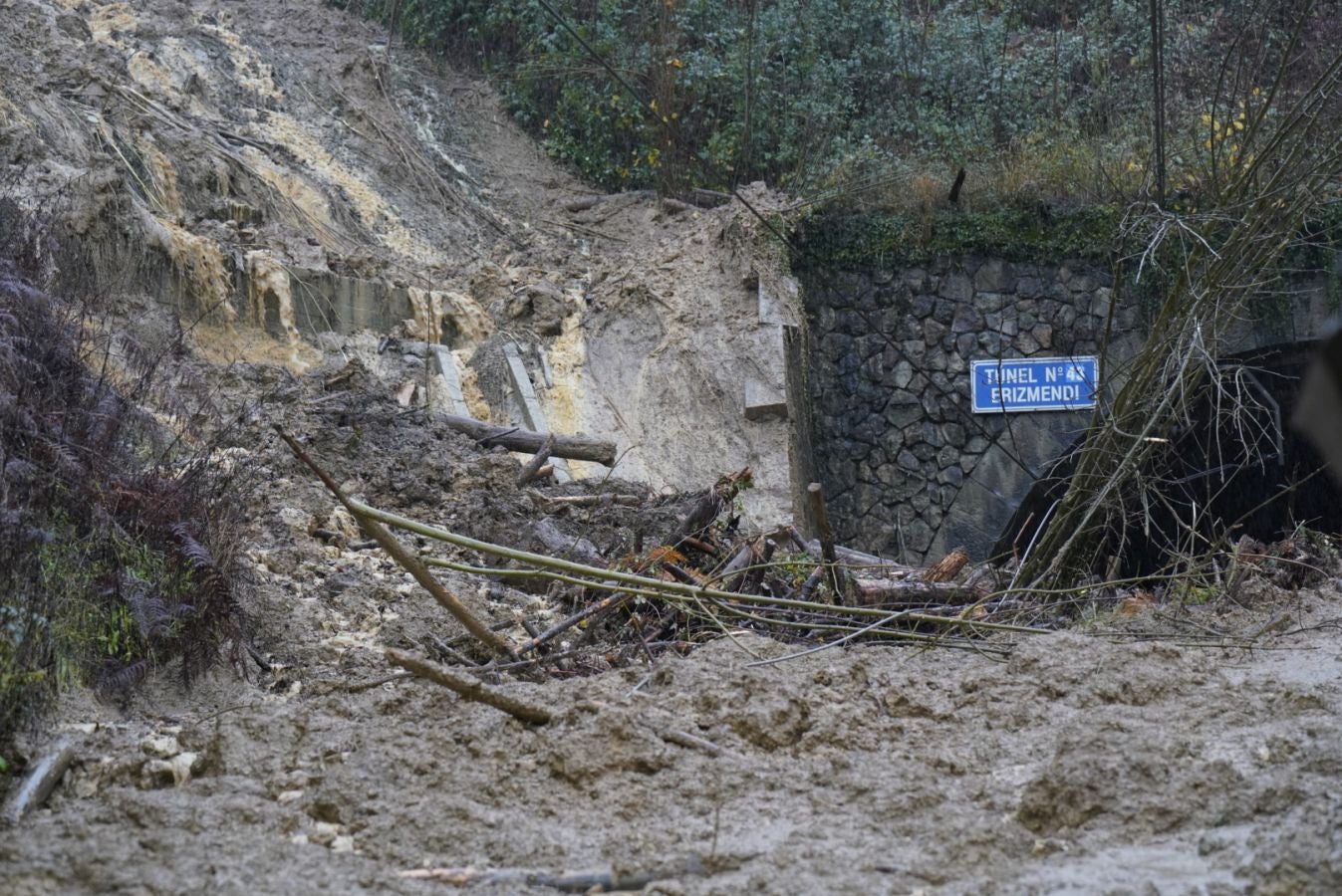 Accidente de un tren de cercanías entre Beasain y Brinkola tras un desprendimiento a la altura de Gabiria