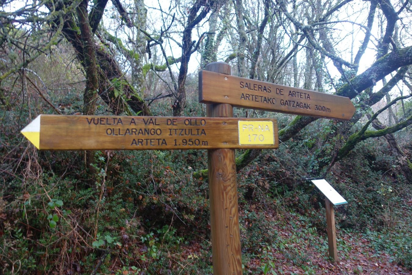 Fotos: Arteta, el poder del agua marca el ritmo