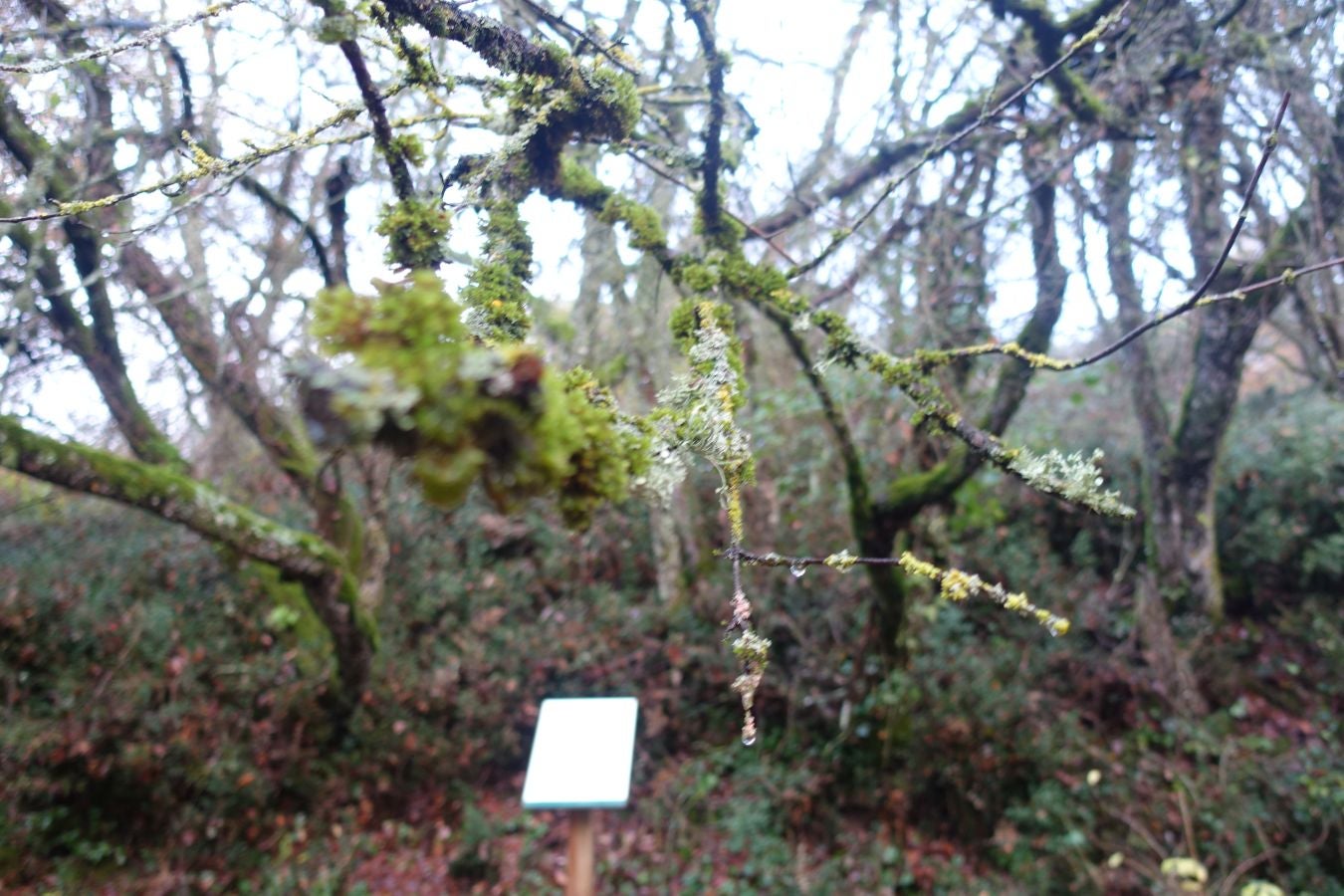 Fotos: Arteta, el poder del agua marca el ritmo