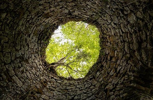 Primer premio: Eztanda.