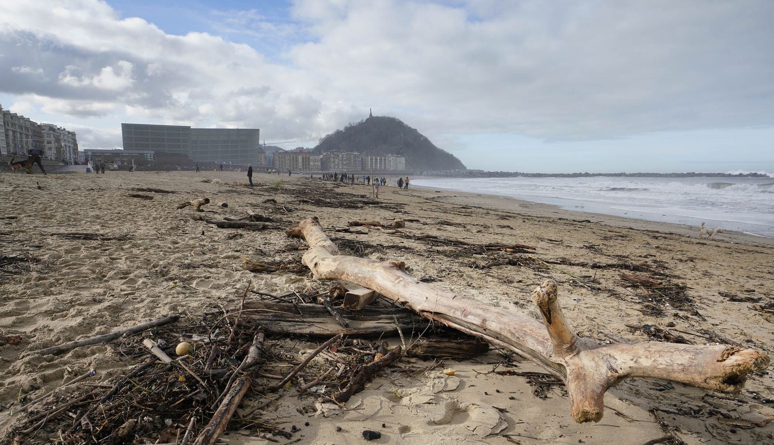 El arenal de la Zurriola se ha cubierto de troncos tras el paso de la borrasca 'Barra'.