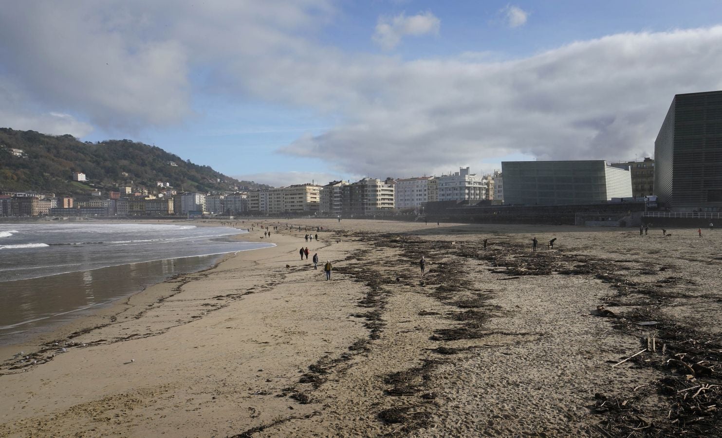 El arenal de la Zurriola se ha cubierto de troncos tras el paso de la borrasca 'Barra'.