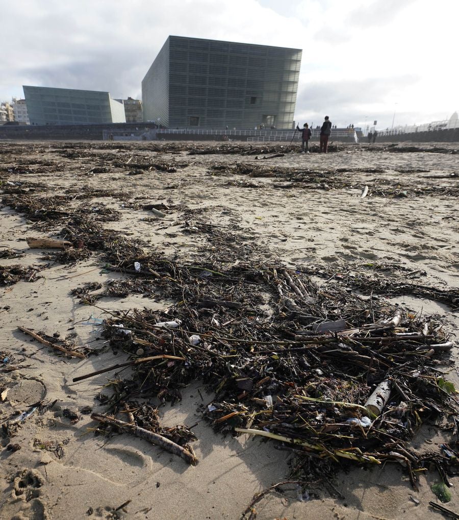 El arenal de la Zurriola se ha cubierto de troncos tras el paso de la borrasca 'Barra'.