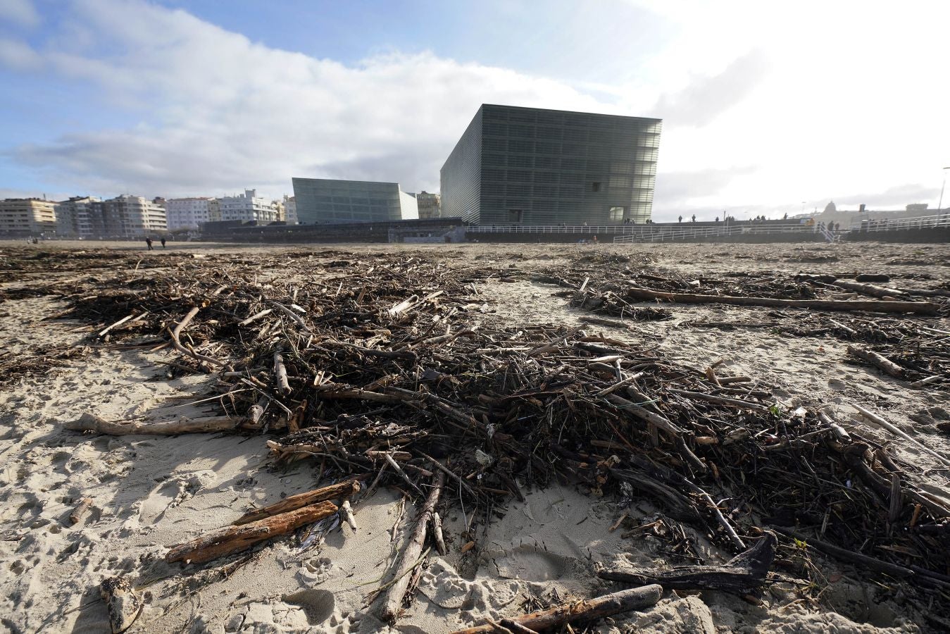 El arenal de la Zurriola se ha cubierto de troncos tras el paso de la borrasca 'Barra'.