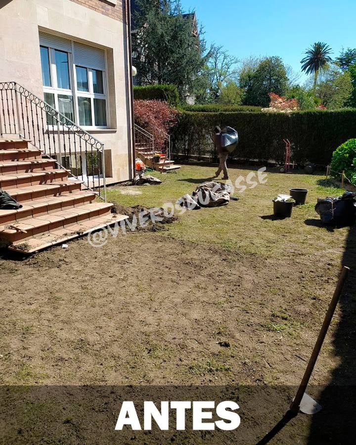 Fotos: Viveros Ducasse