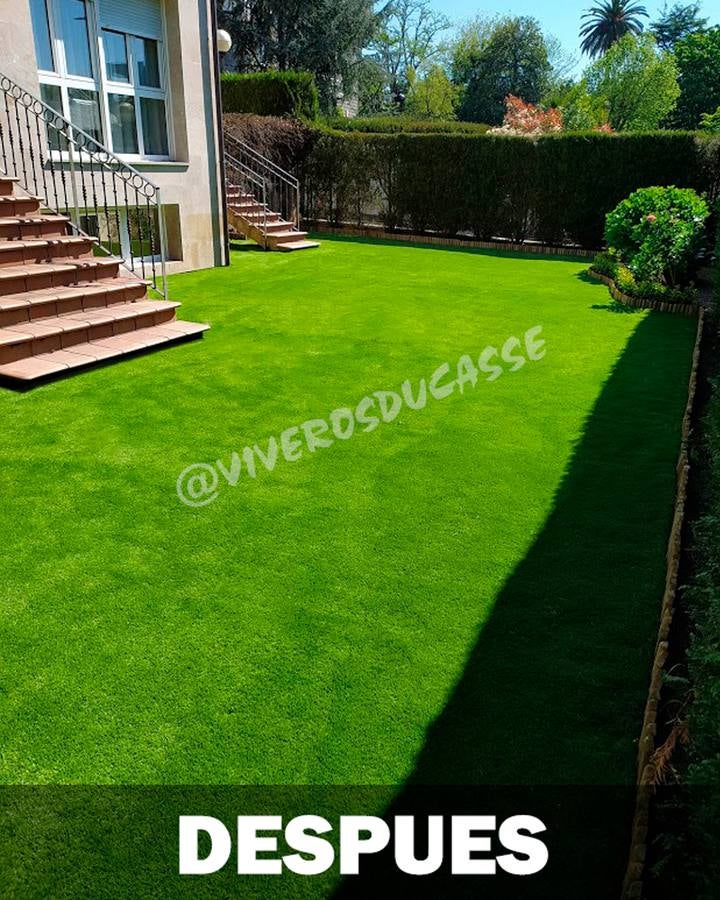 Fotos: Viveros Ducasse