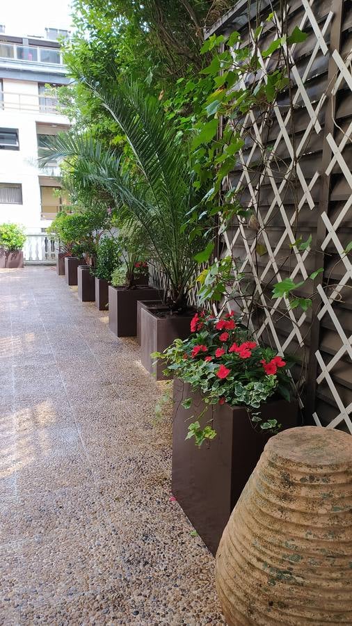 Fotos: Viveros Ducasse