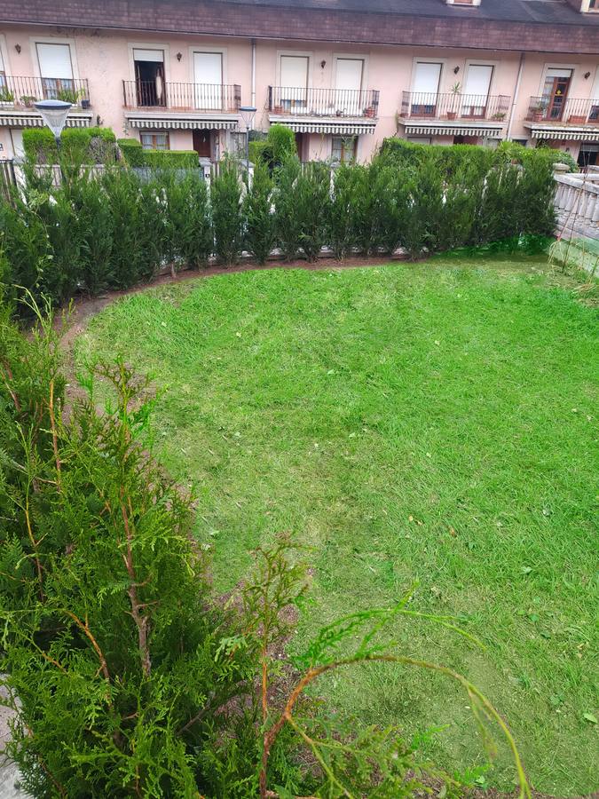 Fotos: Viveros Ducasse