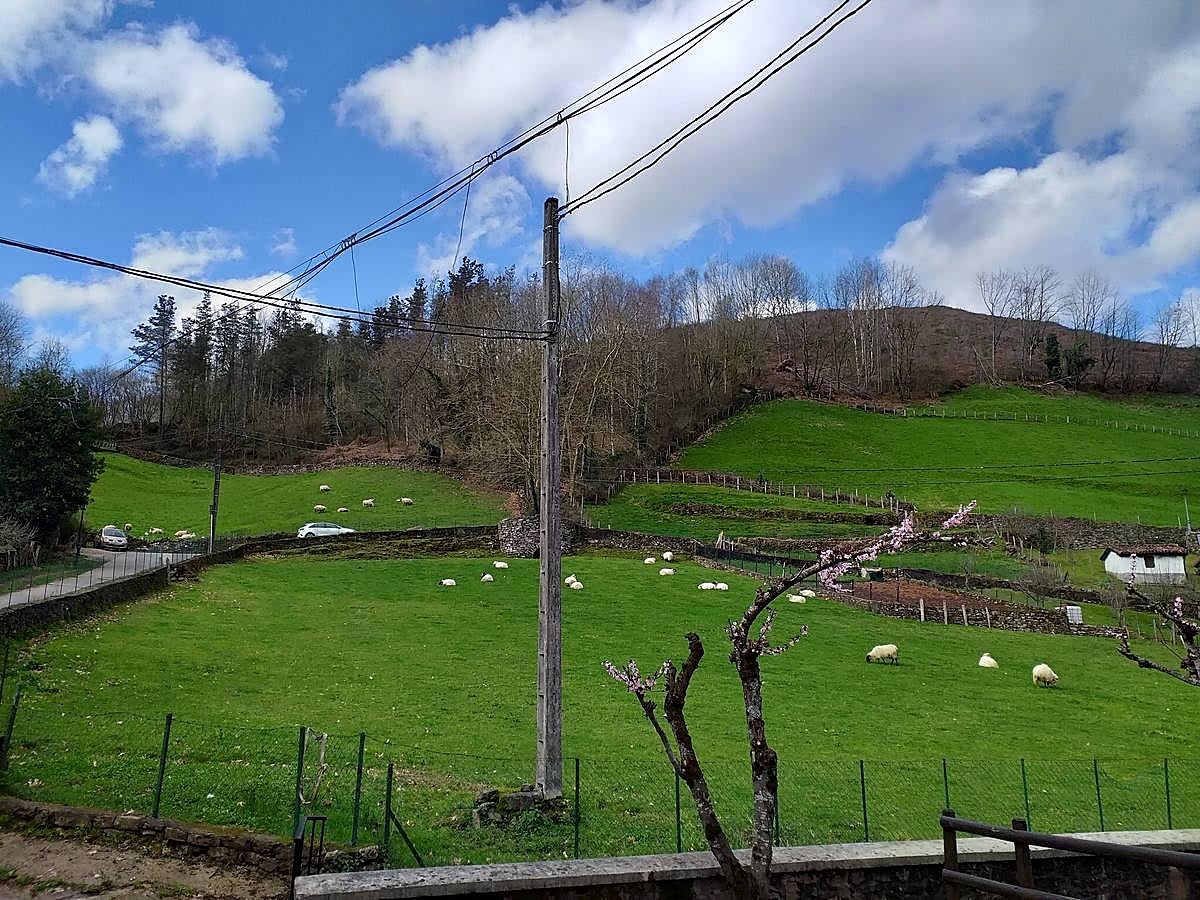 Fotos: Chalet independiente en Zubieta