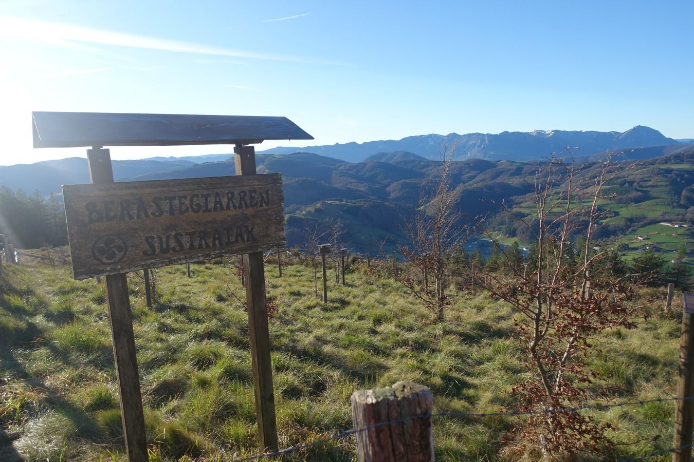 Fotos: Ipuliño, con la vista perdida en el cielo