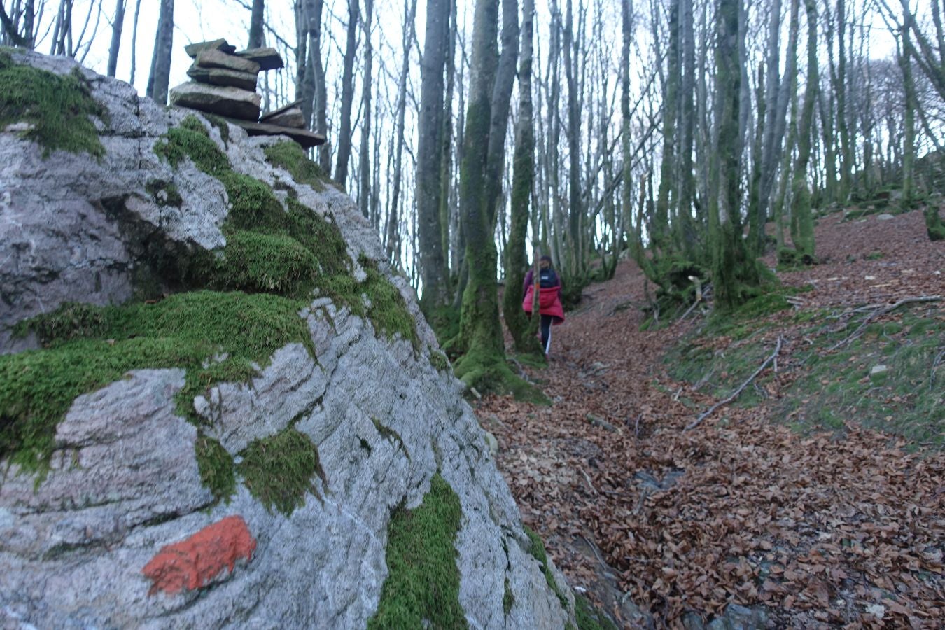 Fotos: Ipuliño, con la vista perdida en el cielo