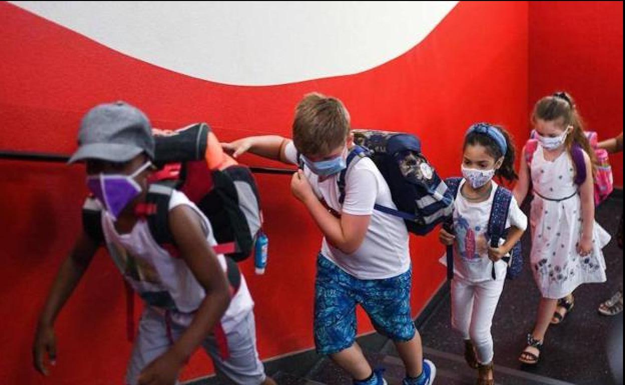 Coronavirus Euskadi: Nuevo protocolo en Primaria: ¿Confinan a todo el aula? ¿Cuántos test de saliva hay que hacer?