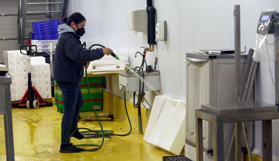 Fotos: Las dudas llegan a la lonja de pescado