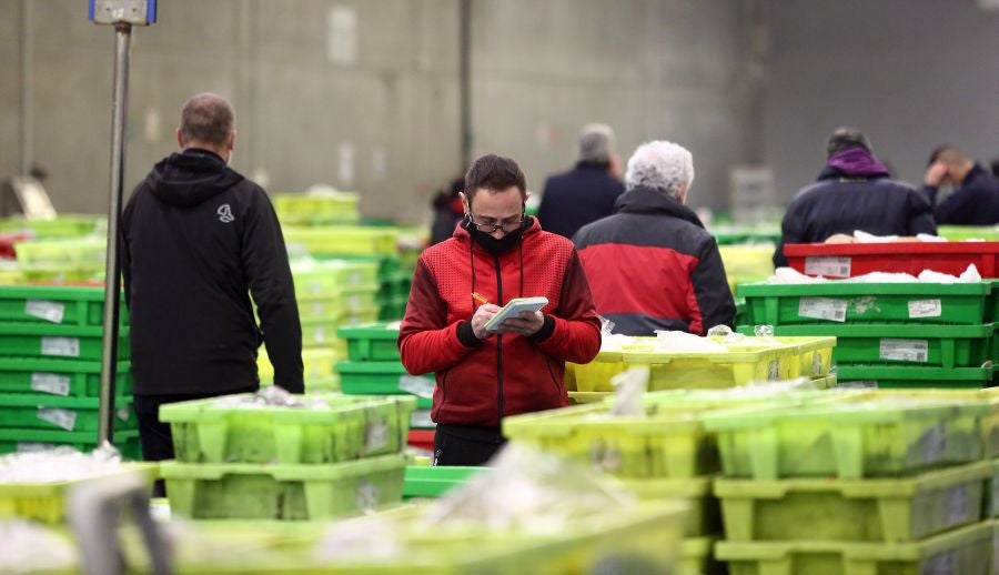 Fotos: Las dudas llegan a la lonja de pescado