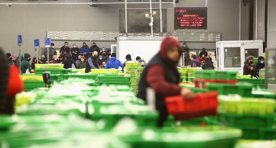 Fotos: Las dudas llegan a la lonja de pescado
