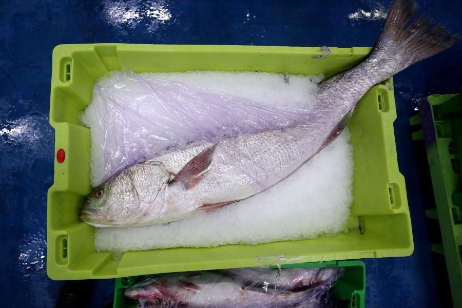 Fotos: Las dudas llegan a la lonja de pescado