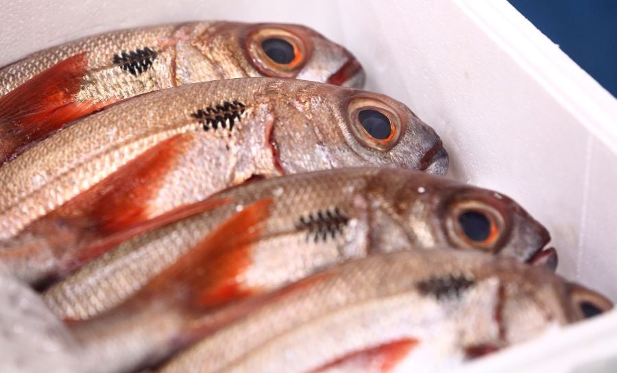 Fotos: Las dudas llegan a la lonja de pescado