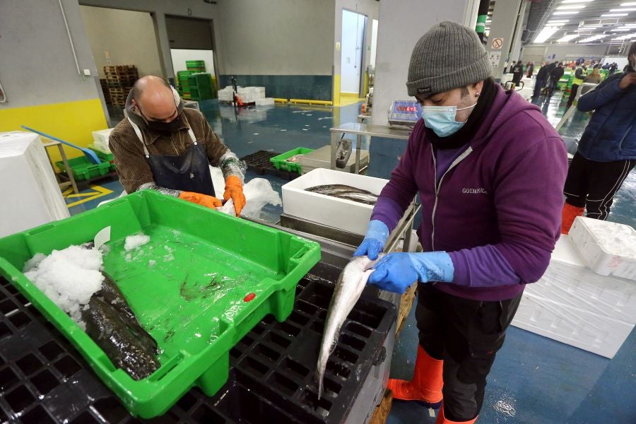 Fotos: Las dudas llegan a la lonja de pescado