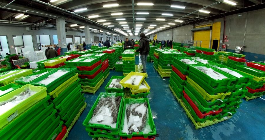 Fotos: Las dudas llegan a la lonja de pescado