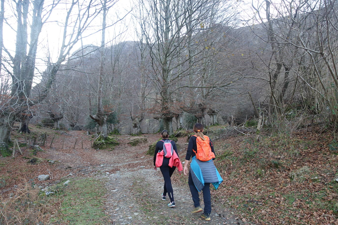 Fotos: Balerdi. El cobijo invernal de Hegoi