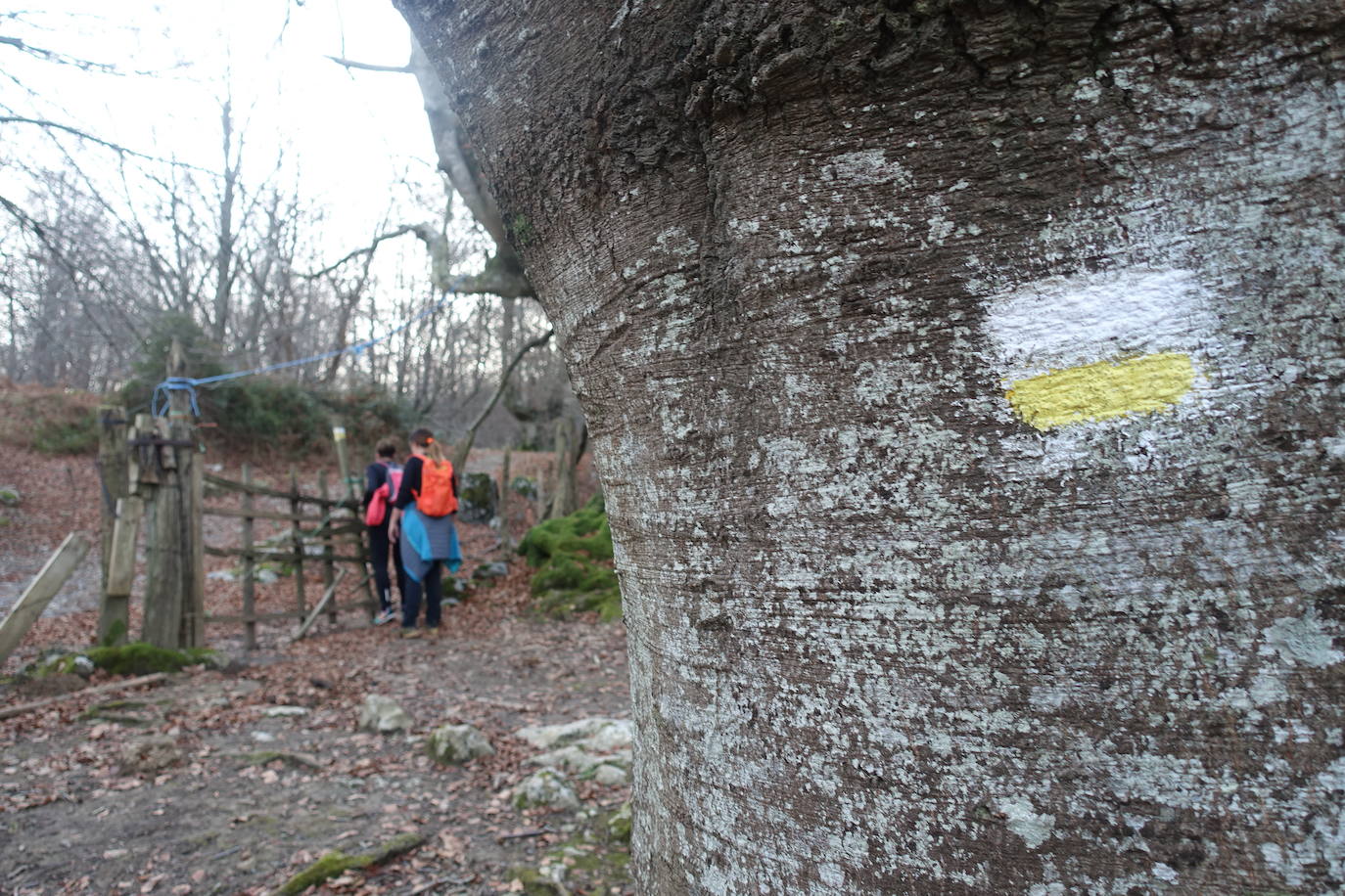 Fotos: Balerdi. El cobijo invernal de Hegoi
