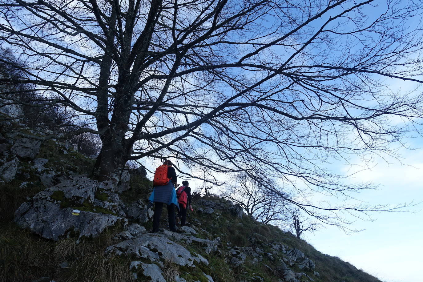 Fotos: Balerdi. El cobijo invernal de Hegoi