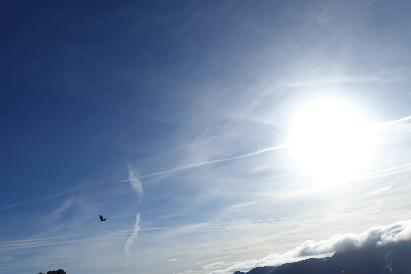 Fotos: Balerdi. El cobijo invernal de Hegoi