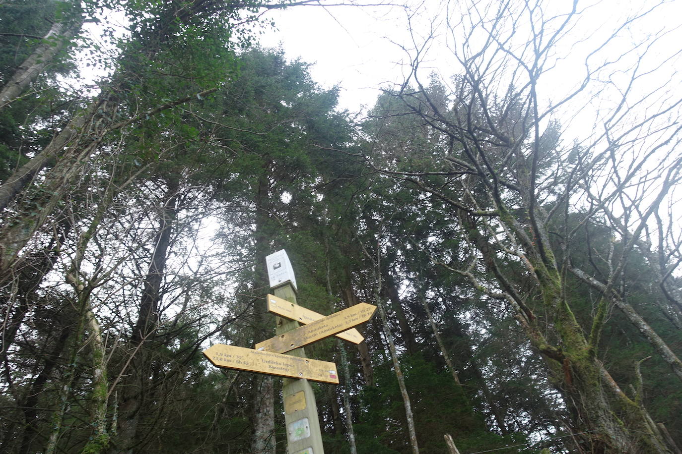 Fotos: Balerdi. El cobijo invernal de Hegoi