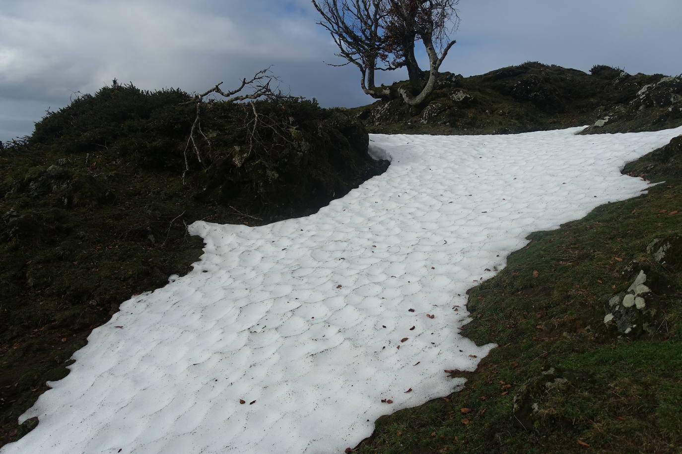 Fotos: Ireber. Paseo entre bosques mágicos