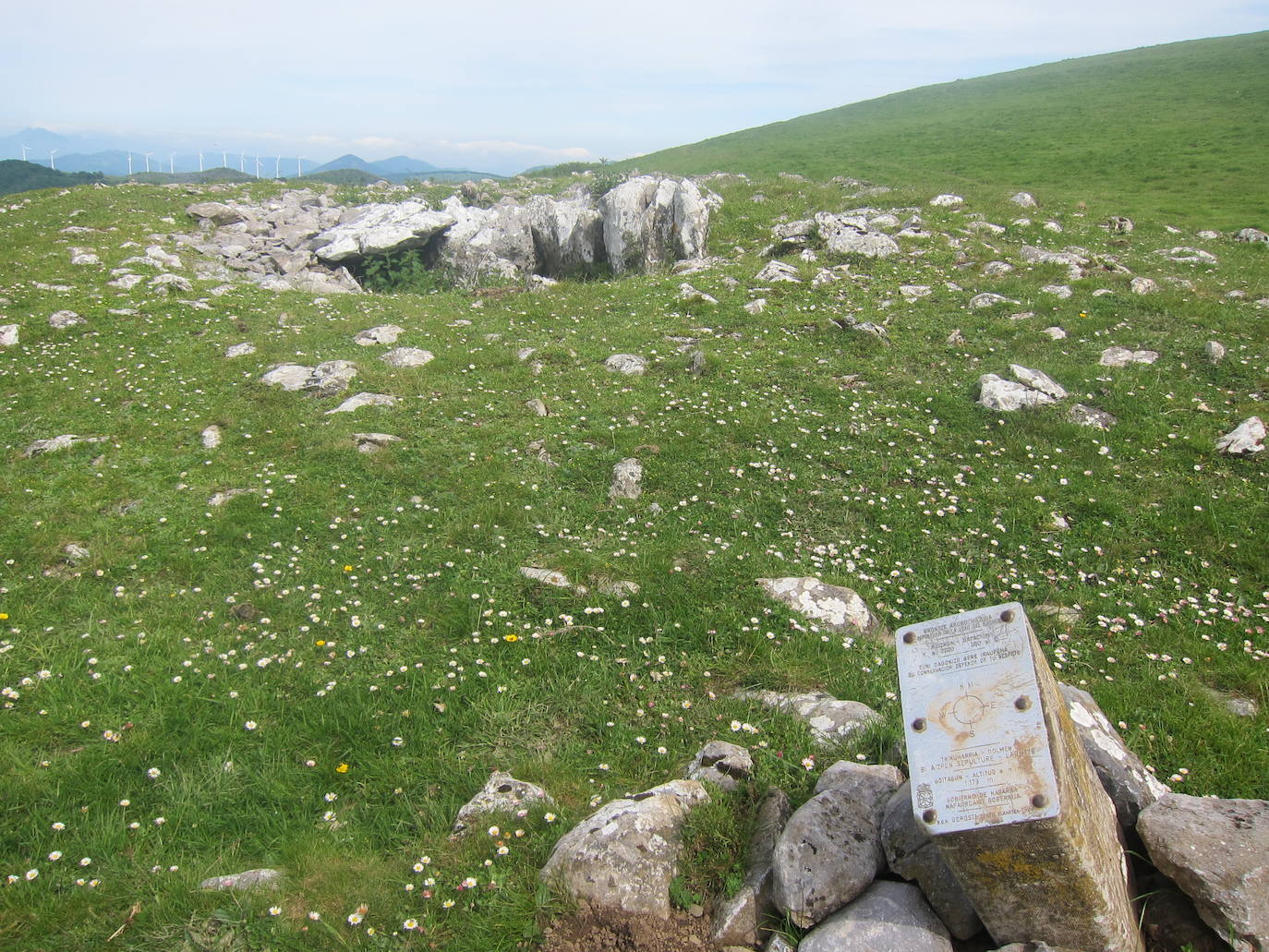 Fotos: Ireber. Paseo entre bosques mágicos