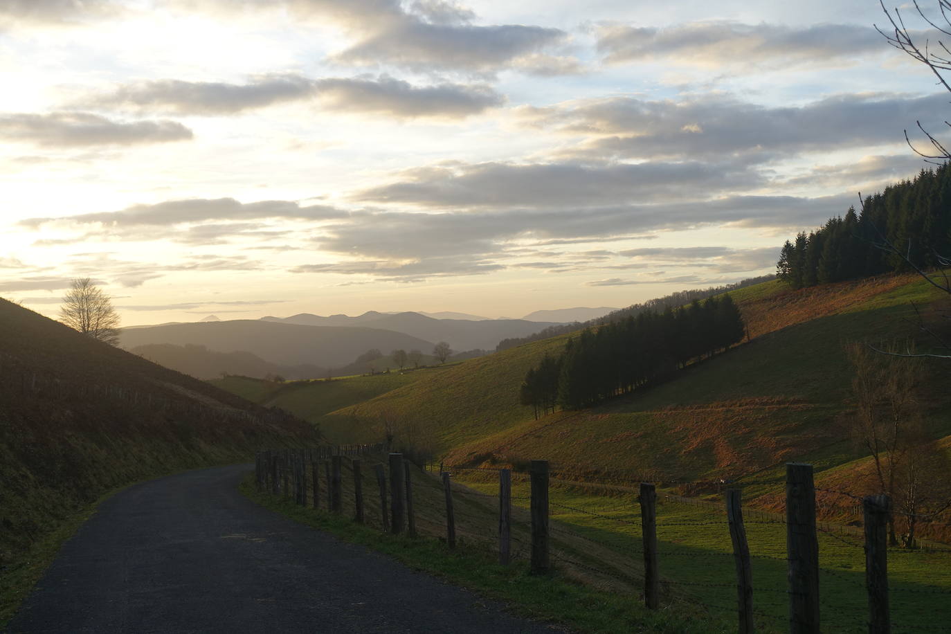 Fotos: Ireber. Paseo entre bosques mágicos