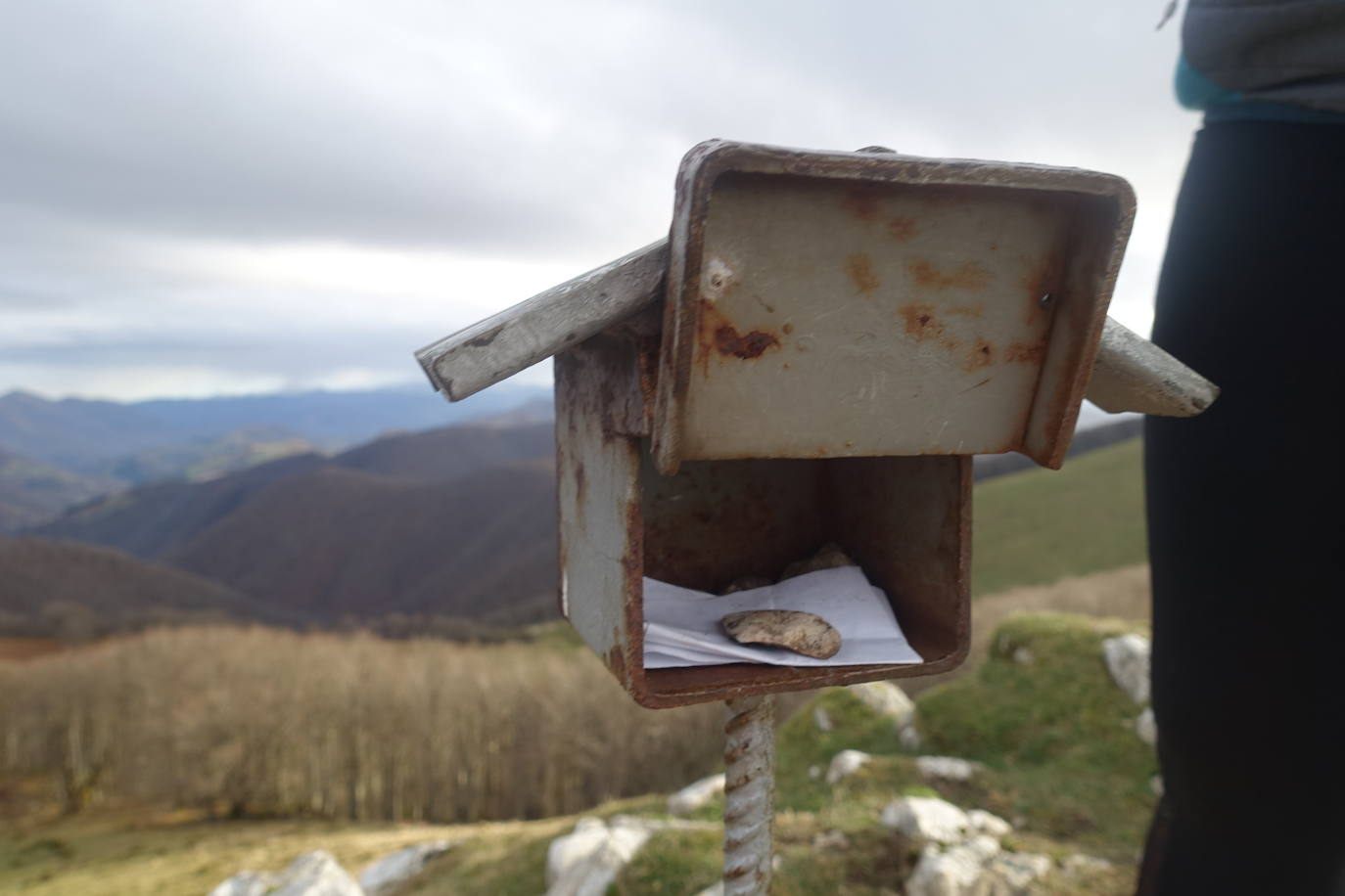 Fotos: Ireber. Paseo entre bosques mágicos