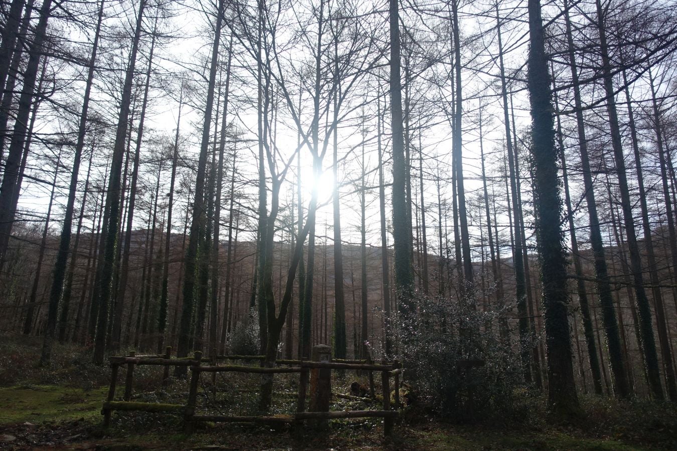 Fotos: Petriketa, entre molinos y gigantes