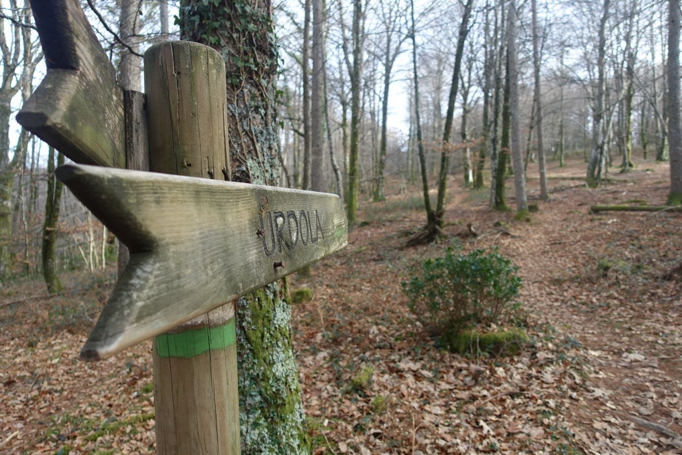 Fotos: Petriketa, entre molinos y gigantes